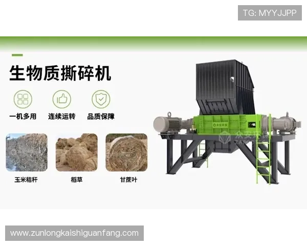 用户分享：使用z6尊龙官方网站入口的真实体验与心得